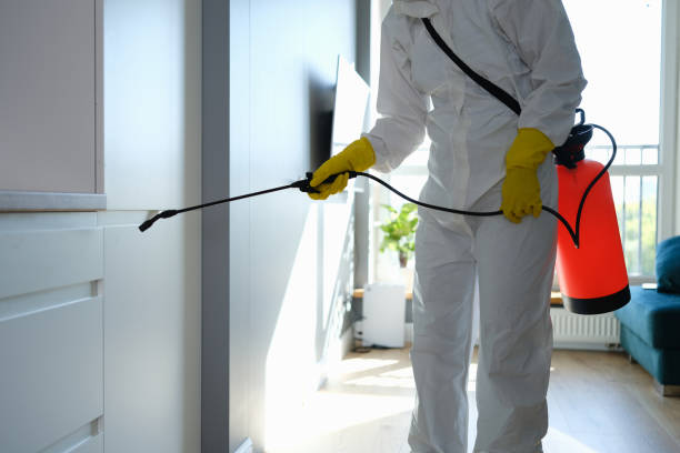 Professional Mold Removal in Lordstown, OH